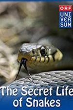 Watch The Secret Life of Snakes 123MoviesFree