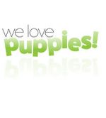 Watch We Love Puppies 123MoviesFree