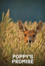 Watch Poppy\'s Promise: Secret Life in a Cornfield 123MoviesFree