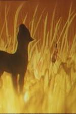 Watch The Cat Who Walked by Herself 123MoviesFree