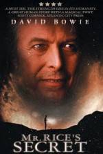 Watch Mr. Rice's Secret 123MoviesFree