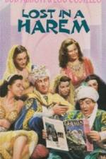 Watch Lost in a Harem 123MoviesFree