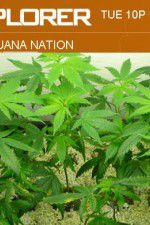 Watch Marijuana Nation 123MoviesFree