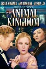 Watch The Animal Kingdom 123MoviesFree