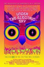 Watch EDC 2013: Under the Electric Sky 123MoviesFree