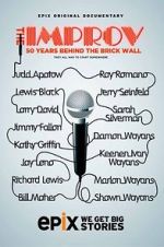 Watch The Improv: 50 Years Behind the Brick Wall (TV Special 2013) 123MoviesFree