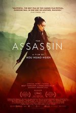 Watch The Assassin 123MoviesFree