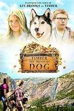 Watch Timber the Treasure Dog 123MoviesFree