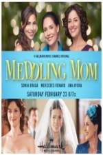 Watch Meddling Mom 123MoviesFree