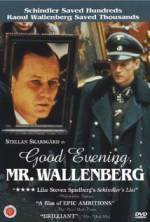 Watch Good Evening, Mr. Wallenberg 123MoviesFree
