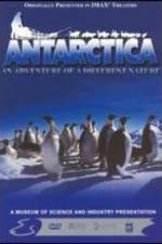 Watch Antarctica 123MoviesFree