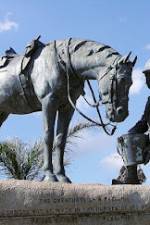 Watch War Horse: The Real Story 123MoviesFree