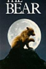 Watch The Bear - (L'ours) 123MoviesFree