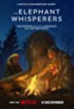 Watch The Elephant Whisperers 123MoviesFree