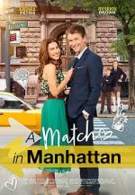 Watch A Match in Manhattan 123MoviesFree