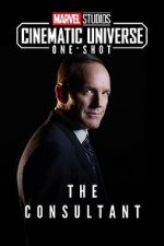 Watch Marvel One-Shot: The Consultant 123MoviesFree