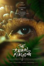 Watch The Animal Kingdom 123MoviesFree