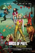 Watch Birds of Prey 123MoviesFree