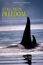 Watch A Fall from Freedom 123MoviesFree