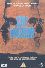 Watch Cry Freedom 123MoviesFree