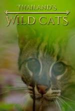 Watch Thailand's Wild Cats 123MoviesFree