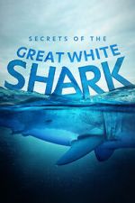 Watch Secrets of the Great White Shark 123MoviesFree