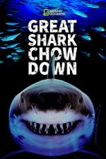 Watch Great Shark Chow Down 123MoviesFree