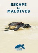 Watch Escape to Maldives 123MoviesFree