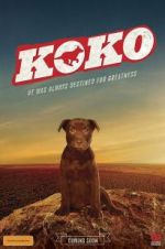 Watch Koko: A Red Dog Story 123MoviesFree