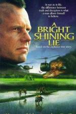 Watch A Bright Shining Lie 123MoviesFree