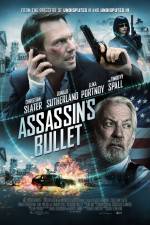 Watch Assassin's Bullet 123MoviesFree