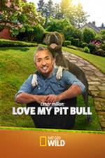 Watch Cesar Millan: Love My Pit Bull 123MoviesFree