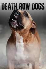 Watch Death Row Dogs 123MoviesFree