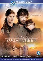 Watch Love Finds You in Sugarcreek 123MoviesFree
