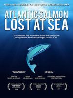 Watch Atlantic Salmon: Lost at Sea 123MoviesFree