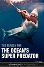 Watch The Search for the Oceans Super Predator 123MoviesFree