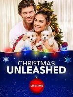 Watch A Doggone Christmas 123MoviesFree