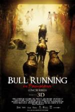 Watch Encierro 3D: Bull Running in Pamplona 123MoviesFree