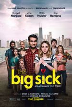 Watch The Big Sick 123MoviesFree