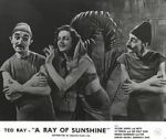 Watch A Ray of Sunshine: An Irresponsible Medley of Song and Dance 123MoviesFree
