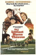 Watch The Littlest Horse Thieves 123MoviesFree
