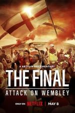 Watch The Final: Attack on Wembley 123MoviesFree
