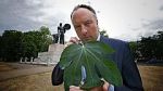 Watch Fig Leaf: The Biggest Cover-Up in History 123MoviesFree