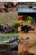 Watch National Geographic - World's Deadliest Lady Killers 123MoviesFree