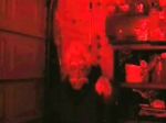 Watch Video Nasty 123MoviesFree