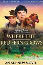 Watch Where the Red Fern Grows 123MoviesFree