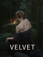 Watch Velvet 123MoviesFree