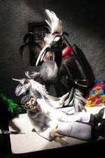 Watch Ornithology 123MoviesFree