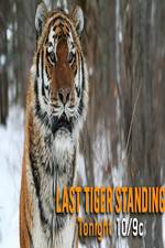 Watch Discovery Channel-Last Tiger Standing 123MoviesFree