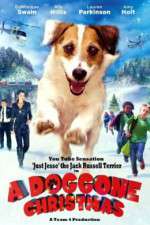 Watch A Doggone Christmas 123MoviesFree